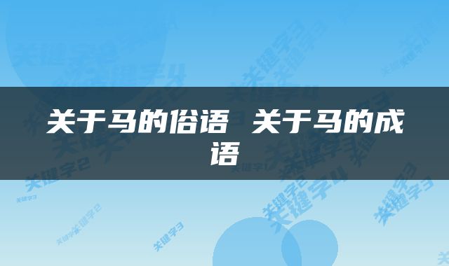 关于马的俗语 关于马的成语