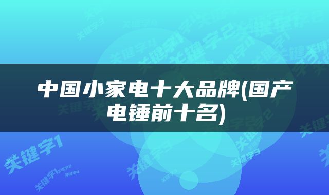 中国小家电十大品牌(国产电锤前十名)