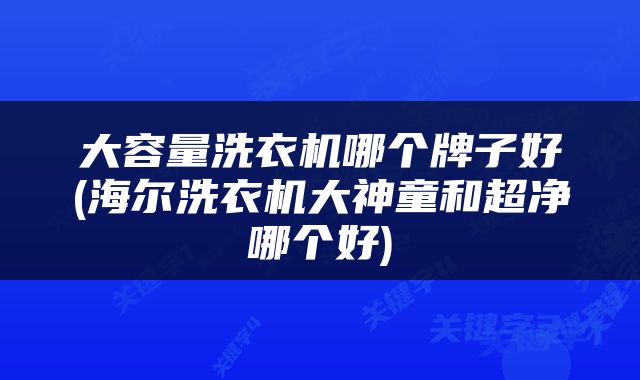 大容量洗衣机哪个牌子好(海尔洗衣机大神童和超净哪个好)