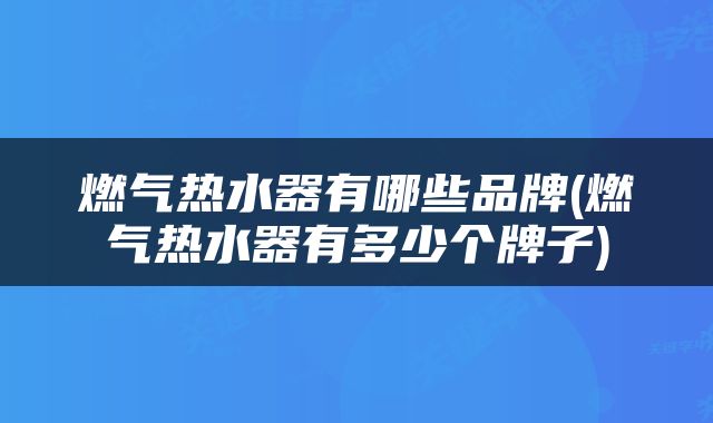 燃气热水器有哪些品牌(燃气热水器有多少个牌子)