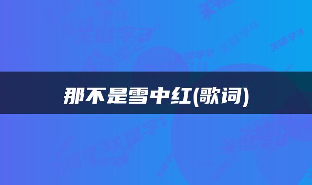 那不是雪中红(歌词)