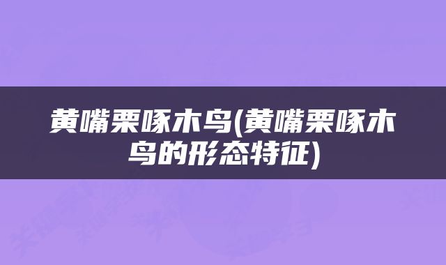 黄嘴栗啄木鸟(黄嘴栗啄木鸟的形态特征)
