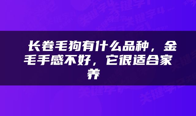  长卷毛狗有什么品种，金毛手感不好，它很适合家养 