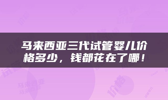 马来西亚三代试管婴儿价格多少，钱都花在了哪！