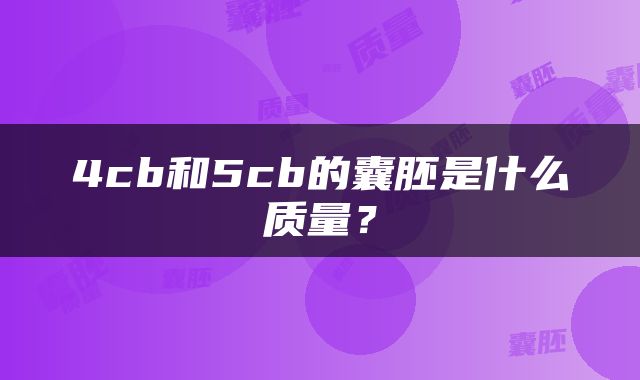 4cb和5cb的囊胚是什么质量？