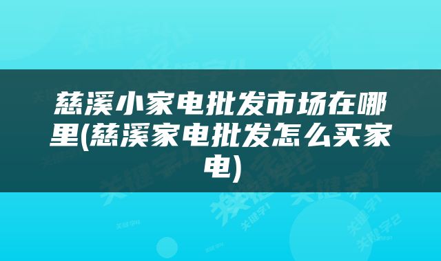 慈溪小家电批发市场在哪里(慈溪家电批发怎么买家电)