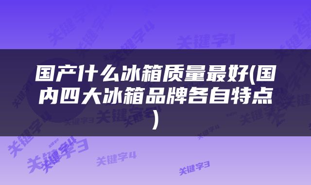 国产什么冰箱质量最好(国内四大冰箱品牌各自特点)