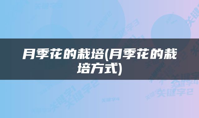 月季花的栽培(月季花的栽培方式)