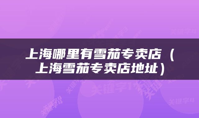 上海哪里有雪茄专卖店（上海雪茄专卖店地址）