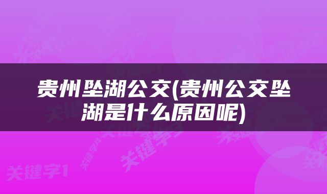 贵州坠湖公交(贵州公交坠湖是什么原因呢)