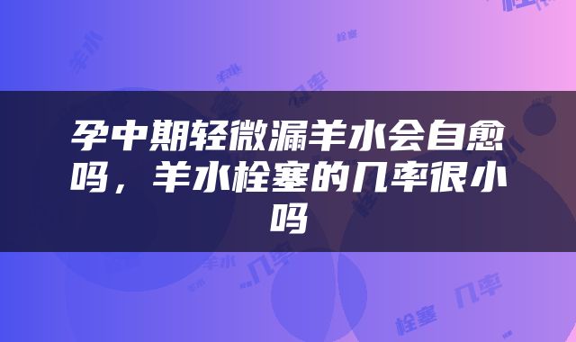 孕中期轻微漏羊水会自愈吗，羊水栓塞的几率很小吗