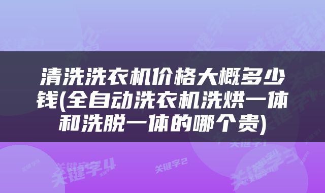 清洗洗衣机价格大概多少钱(全自动洗衣机洗烘一体和洗脱一体的哪个贵)