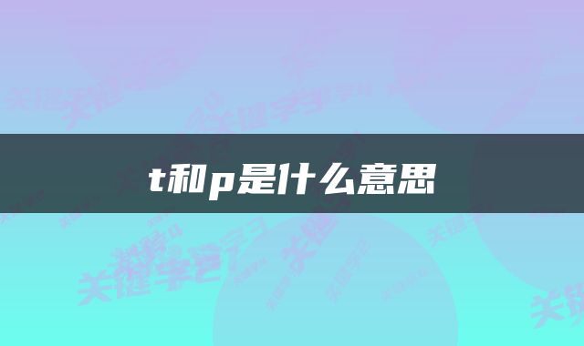 t和p是什么意思