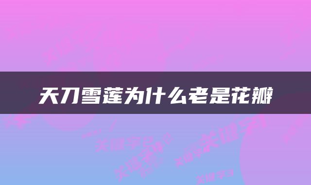 天刀雪莲为什么老是花瓣