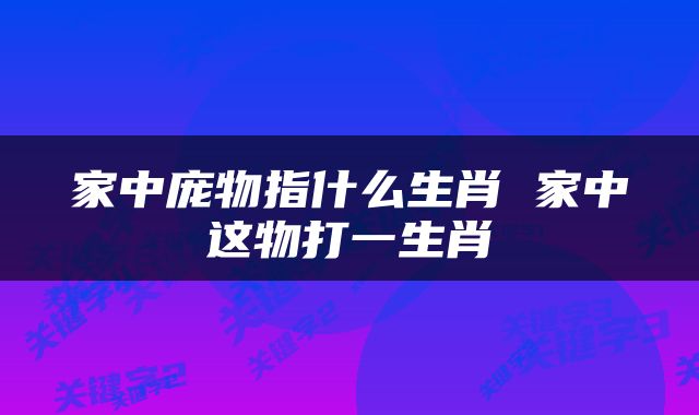 家中庞物指什么生肖 家中这物打一生肖