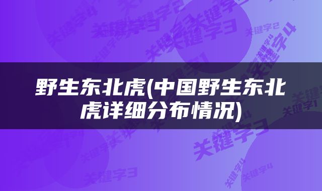 野生东北虎(中国野生东北虎详细分布情况)