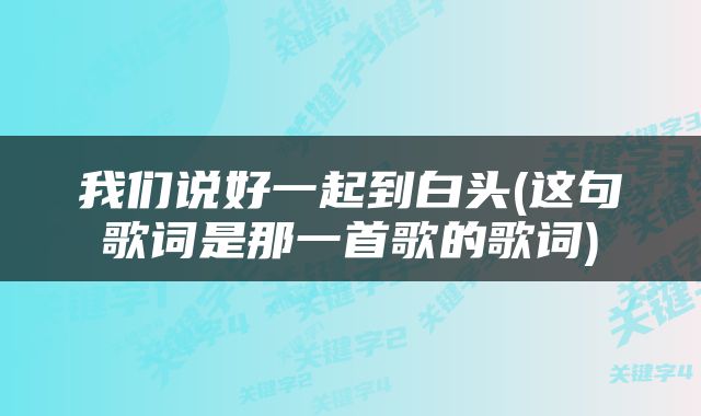 我们说好一起到白头(这句歌词是那一首歌的歌词)