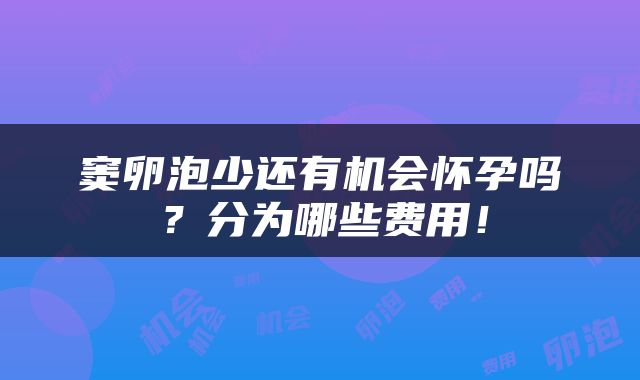 窦卵泡少还有机会怀孕吗？分为哪些费用！