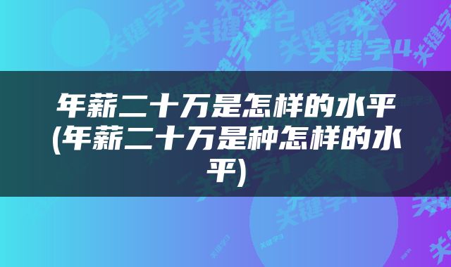 年薪二十万是怎样的水平(年薪二十万是种怎样的水平)