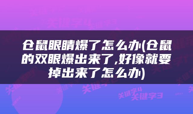 仓鼠眼睛爆了怎么办(仓鼠的双眼爆出来了,好像就要掉出来了怎么办)