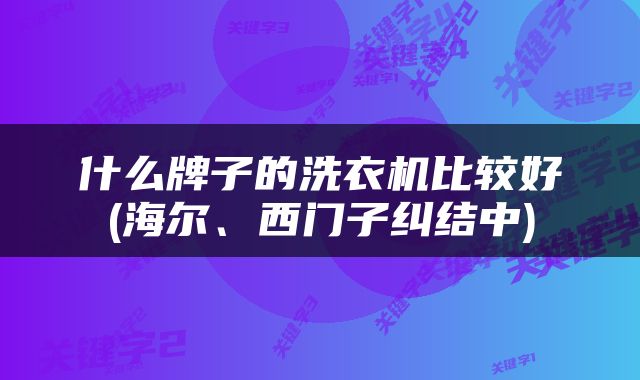 什么牌子的洗衣机比较好(海尔、西门子纠结中)