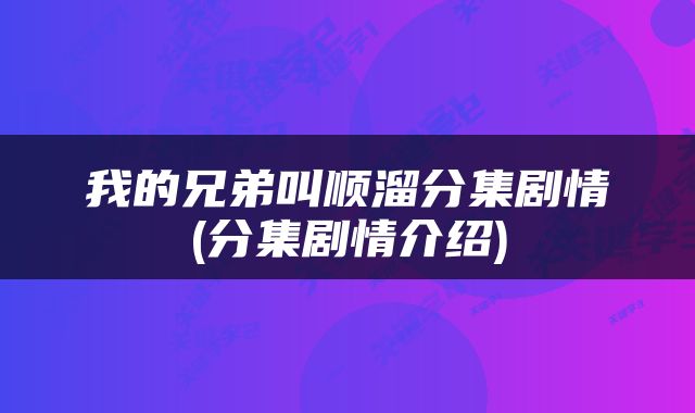 我的兄弟叫顺溜分集剧情(分集剧情介绍)
