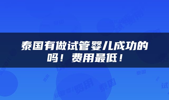 泰国有做试管婴儿成功的吗！费用最低！