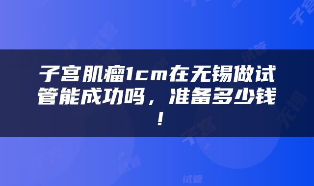 子宫肌瘤1cm在无锡做试管能成功吗，准备多少钱！