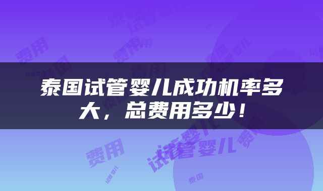 泰国试管婴儿成功机率多大，总费用多少！