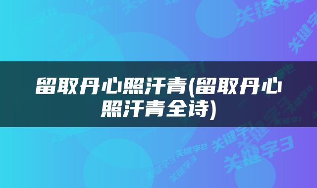 留取丹心照汗青(留取丹心照汗青全诗)