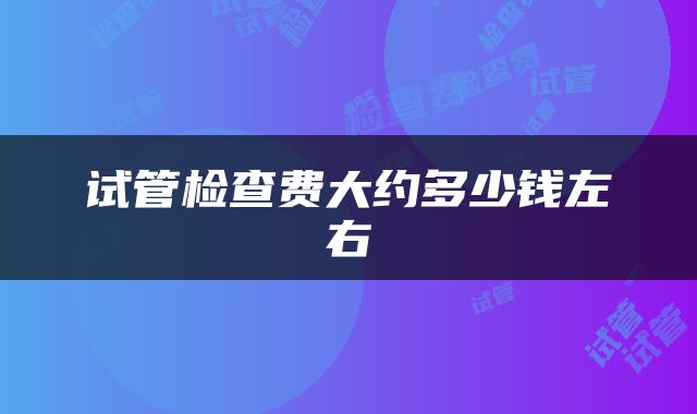 试管检查费大约多少钱左右