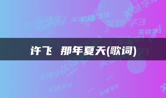 许飞 那年夏天(歌词)