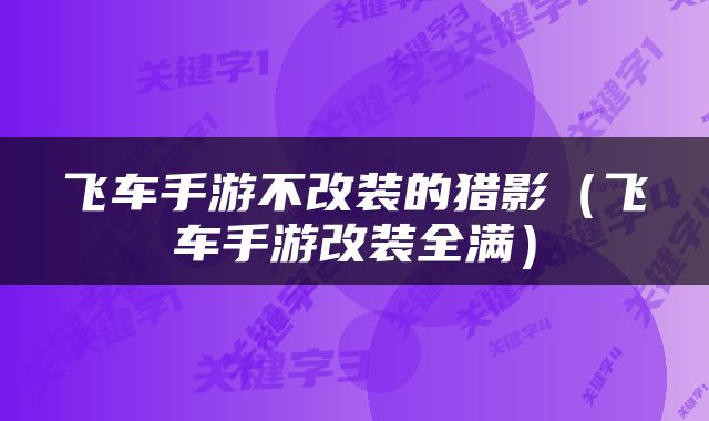 飞车手游不改装的猎影（飞车手游改装全满）