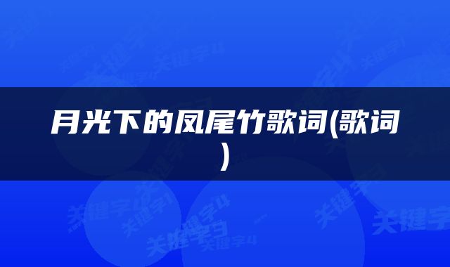 月光下的凤尾竹歌词(歌词)