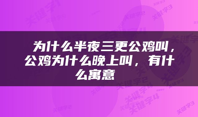  为什么半夜三更公鸡叫，公鸡为什么晚上叫，有什么寓意 