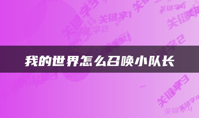 我的世界怎么召唤小队长