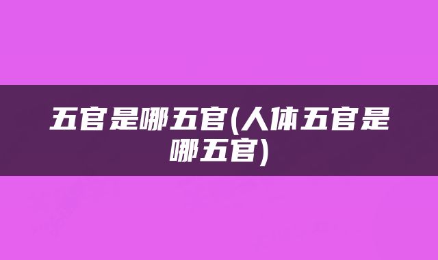 五官是哪五官(人体五官是哪五官)