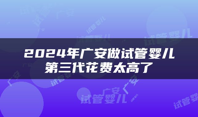2024年广安做试管婴儿第三代花费太高了