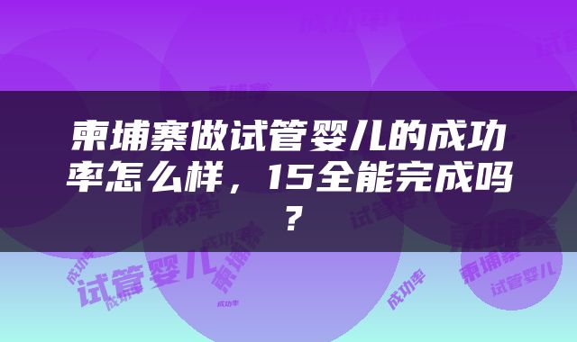 柬埔寨做试管婴儿的成功率怎么样，15全能完成吗？