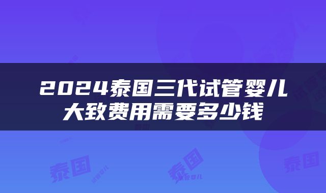 2024泰国三代试管婴儿大致费用需要多少钱