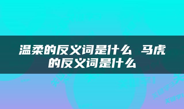 温柔的反义词是什么 马虎的反义词是什么