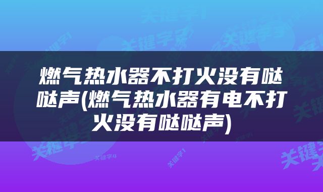 燃气热水器不打火没有哒哒声(燃气热水器有电不打火没有哒哒声)
