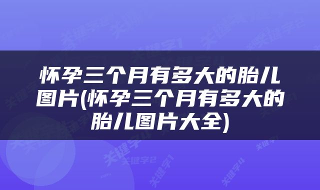 怀孕三个月有多大的胎儿图片(怀孕三个月有多大的胎儿图片大全)