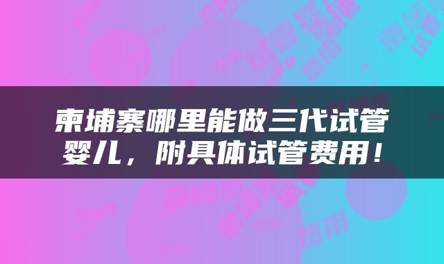 柬埔寨哪里能做三代试管婴儿，附具体试管费用！