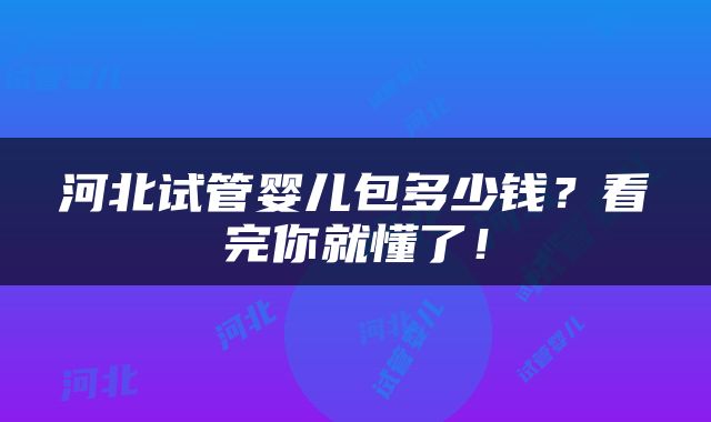 河北试管婴儿包多少钱？看完你就懂了！