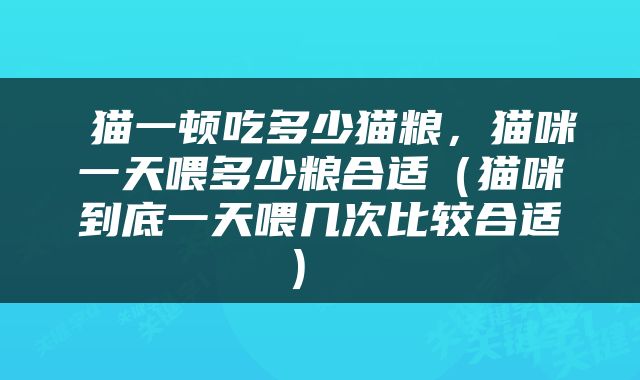  猫一顿吃多少猫粮，猫咪一天喂多少粮合适（猫咪到底一天喂几次比较合适） 