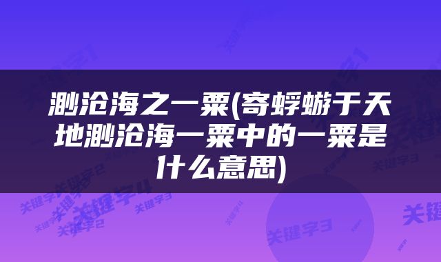 渺沧海之一粟(寄蜉蝣于天地渺沧海一粟中的一粟是什么意思)