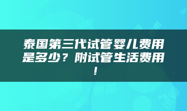 泰国第三代试管婴儿费用是多少？附试管生活费用！