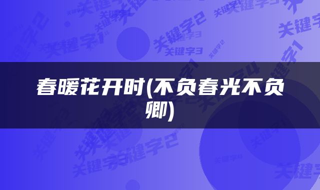 春暖花开时(不负春光不负卿)