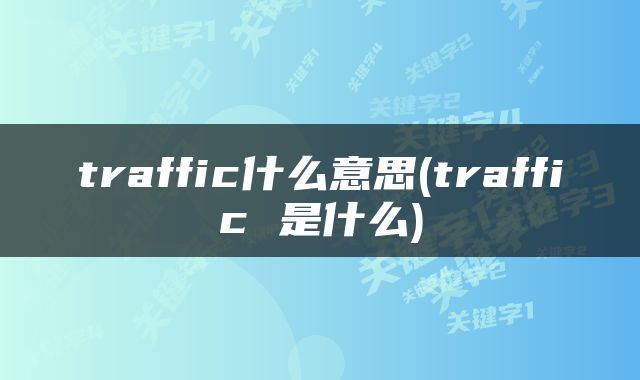 traffic什么意思(traffic 是什么)